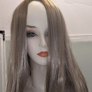 Ombre Wig in color 14
